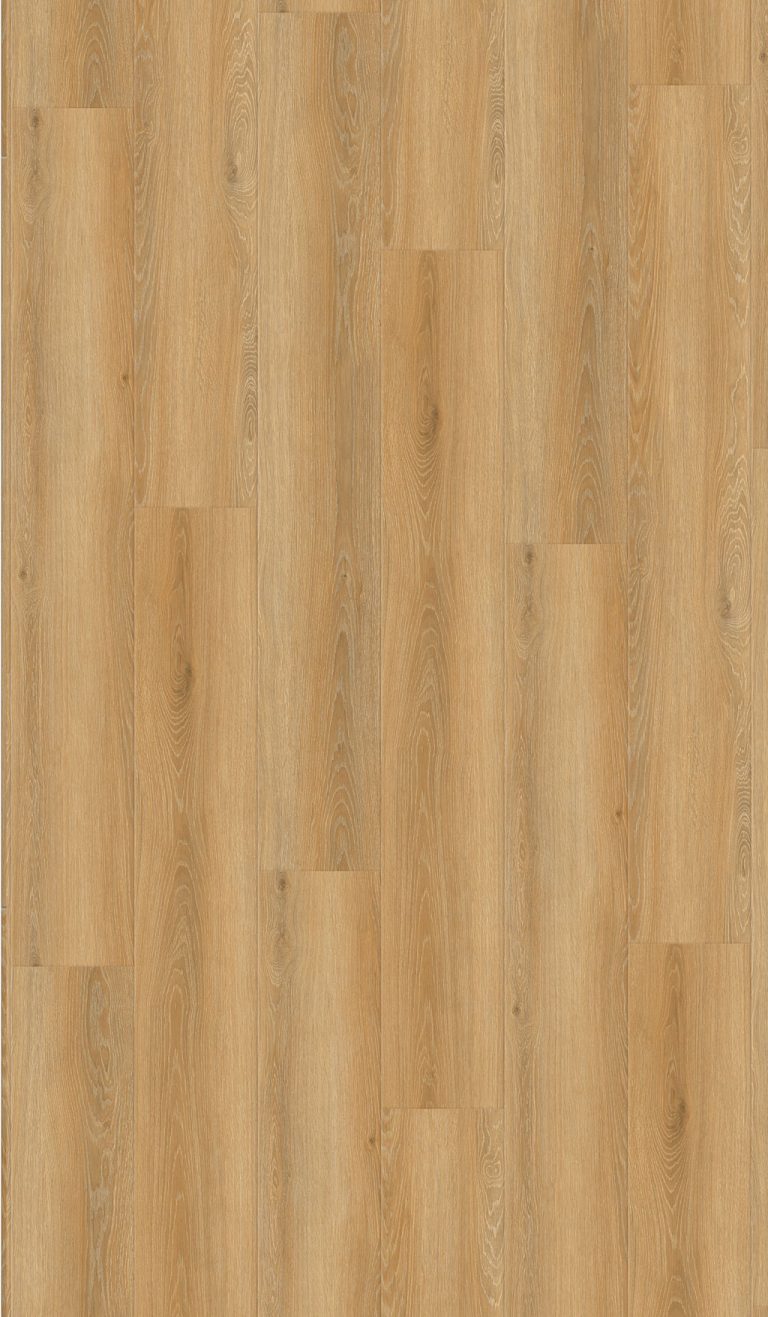 703 1 1