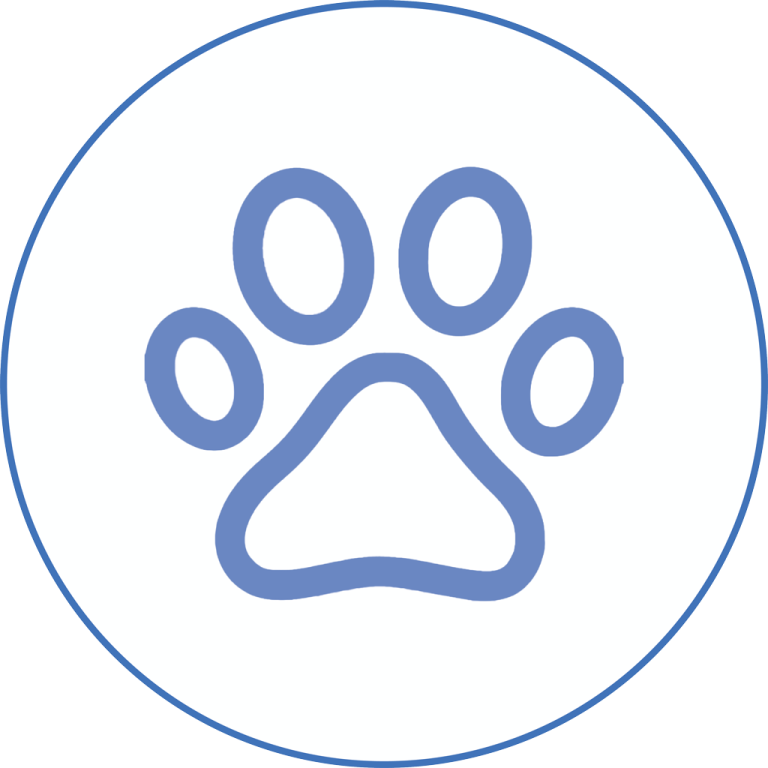 scratch resistance plus