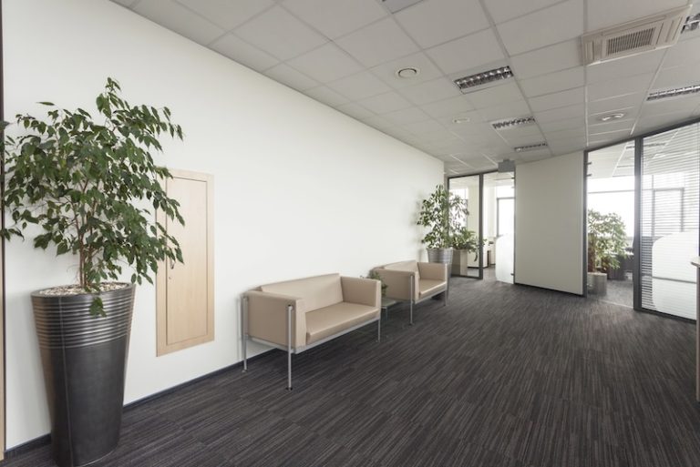 SPC Vinyl Flooring Pros Trust